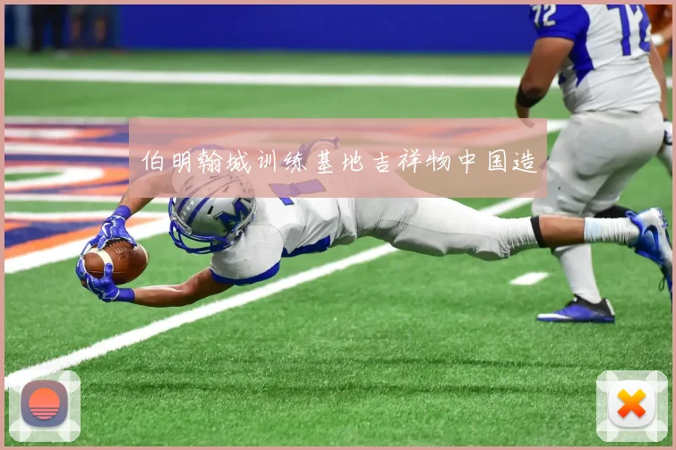 伯明翰城训练基地吉祥物中国造