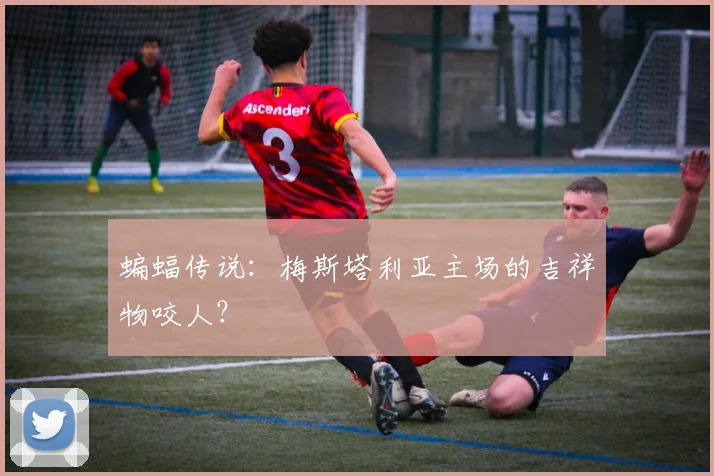 蝙蝠传说：梅斯塔利亚主场的吉祥物咬人？