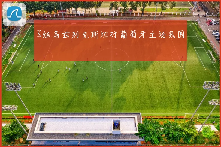 K组乌兹别克斯坦对葡萄牙主场氛围