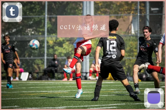 cctv法语频道
