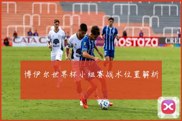 博伊尔世界杯小组赛战术位置解析