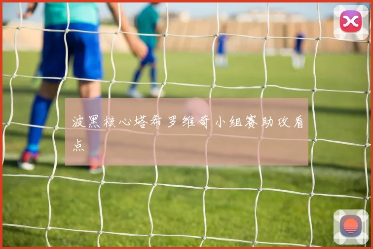 波黑核心塔希罗维奇小组赛助攻看点