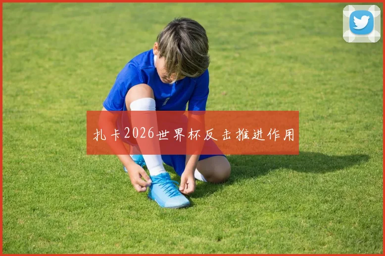 扎卡2026世界杯反击推进作用