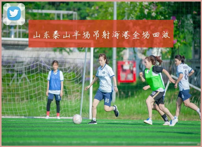 山东泰山半场吊射海港全场回放