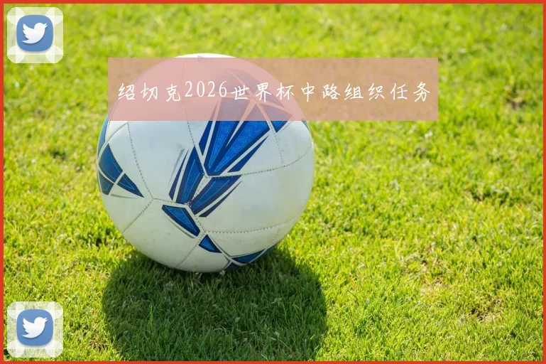 绍切克2026世界杯中路组织任务